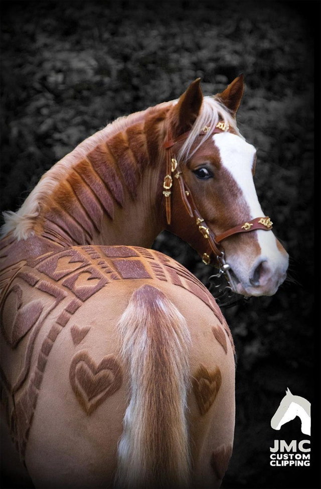 caballo-epona-zelda-real-3